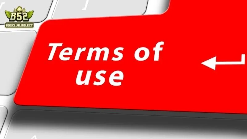 Điều khoản sử dụng